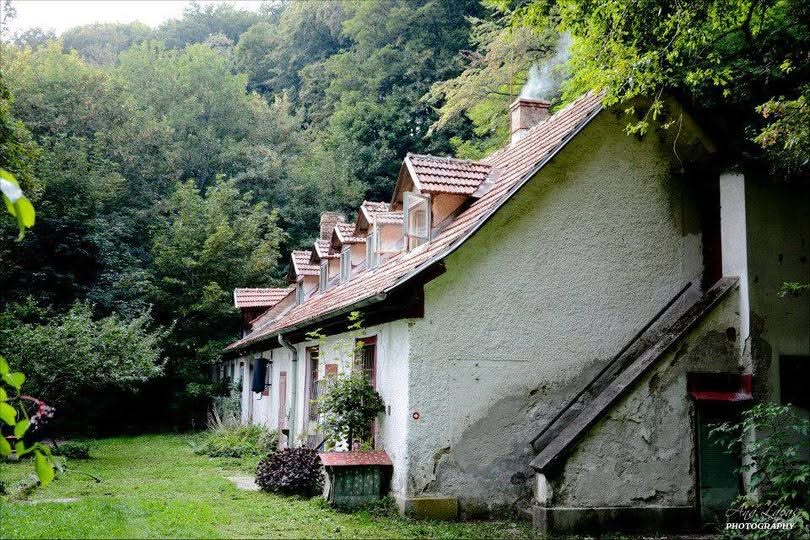 Sljeme. Izletište Brestovac 2013. godine